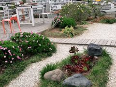 -唐咖精品咖啡(大理古城手冲店)