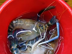 -小象钓虾·营地烧烤(洛溪店)