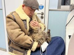 -纳吉亚猫专科动物诊疗中心(蒋宅口分院)