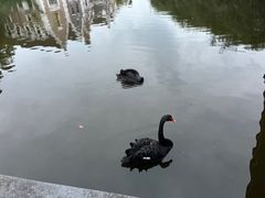 -成都南湖公园