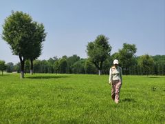 -汉长安城未央宫国家考古遗址公园