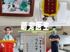 -北京观赏动物医院·24小时大型综合·猫专科·异宠专科
