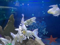 -绿色星球动物主题公园