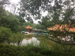 -富乐山