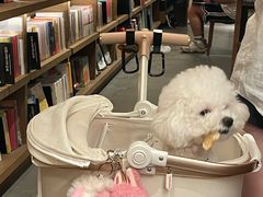 -茑屋书店(天目里店)
