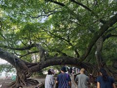 -抚仙湖禄充风景区