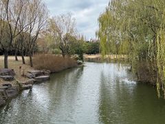 -上海滨江森林公园