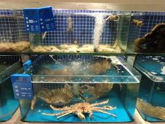 水产区-味莊·青岛菜(云霄路店)