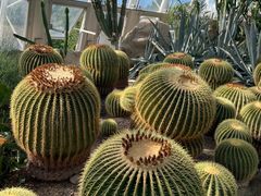 -北京植物园-展览温室