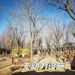 -优沃得自然教育农场·冰雪乐园·生日会·研学