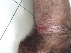 iphone_upload_pic-致善宠物医院(体育路店)