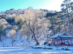 -峨嵋酒家(王府井店)