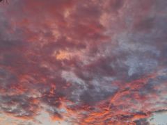 -南宁良凤江国家森林公园