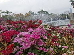 -厦门园林博览苑