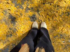 -金原鸭血粉丝汤总店(锁金村店)