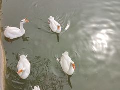 -迎泽公园