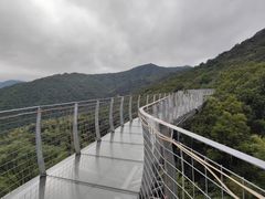 -大余丫山旅游度假区