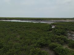 -北海金海湾红树林生态旅游区