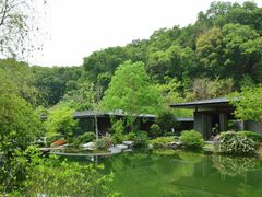 -云溪植物园