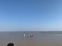 -南汇嘴观海公园