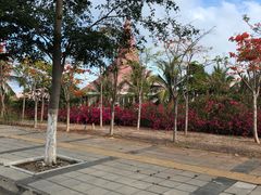 -三亚湾电动车租赁(三亚湾店)