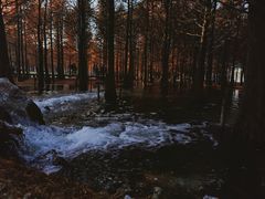 -森林公园(地铁站)