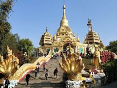 -瑞丽独树成林风景区