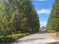 -嘉荫恐龙国家地质公园