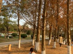 -白鹭湾湿地公园