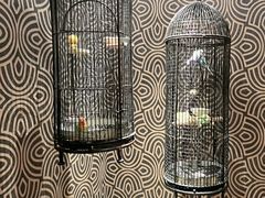 -北京丽亭华苑酒店·四季中餐厅(知春路店)