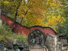 -阳台山自然风景区