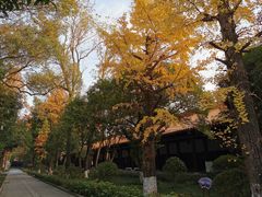 -南岳衡山风景名胜区-南岳大庙