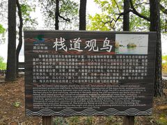 -东湖落雁景区