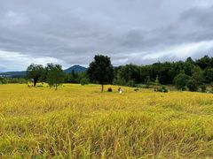 -塔川景区