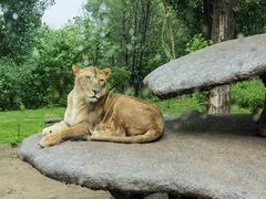 -北京野生动物园