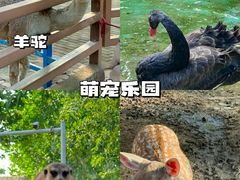 -北戴河集发农业梦想王国