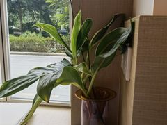 -SLOWOOD 咖啡餐食