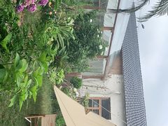 -Jo's Garden