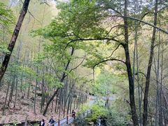 -藏龙百瀑风景区