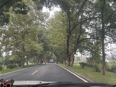 -宜兴张公洞