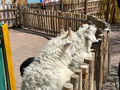 -水上乐园·欢乐世界