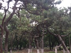 -二一九公园