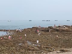 -老太太海鲜城(森林公园任家台店)