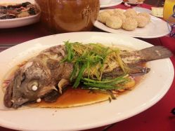 石斑鱼-金门大酒店·宴会厅