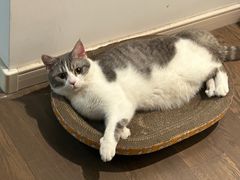 -福州肆爪动物医院