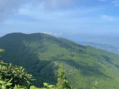 -武陵山森林公园