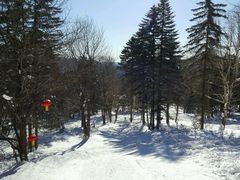 -雪谷