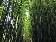 -井空里大峡谷