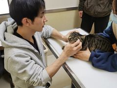 -爱妮康宠物医院·干细胞免疫细胞·肿瘤·心脏(张江店)