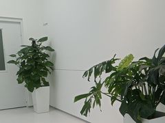 -极简口腔(总院)